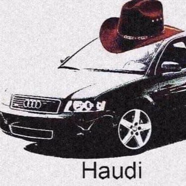 Haudi emote