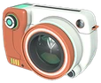 Snapshot emote