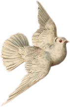 Dove emote