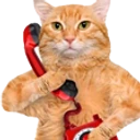 911 emote