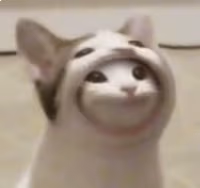 pop_cat_inside_the_pop_cat emote