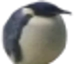 rgnac emote