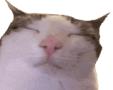 plinkVibe animated emote