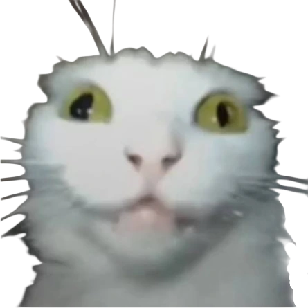 crazykitty emote