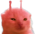 rlorp emote