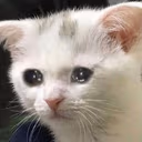 CE_SadStare emote