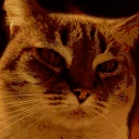 watchingtheworldburn emote