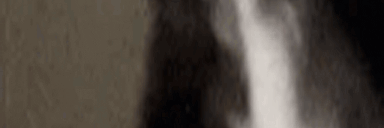 LongestJigglin5 animated emote