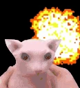 Bangus emote