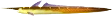 eleroo_eel emote