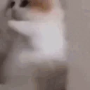 singlecellorganism emote