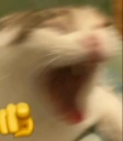 mackovica emote