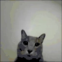 MadgeCat emote