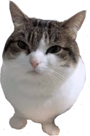 spring emote