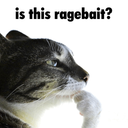 IsThisRagebait static emote