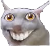 Cat_Looking emote