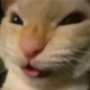 r0ckyvadim avatar
