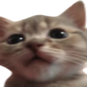 umm emote