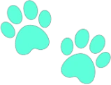 cyan_paw_prints emote