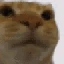idiot emote