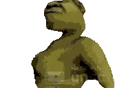 ShrekDance emote