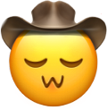 uwu_cowboy static emote