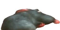 Puke emote