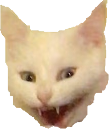 cat emote