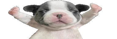 STOPFIGHTINGWIDE emote