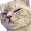 leoZen emote