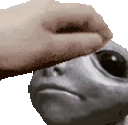 PETTHEFORG emote
