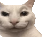 susCat emote