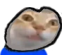 ermgi emote