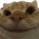 YesYes emote
