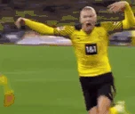 Haaland emote
