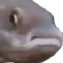 PauseFish emote
