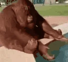 MonkeWash emote