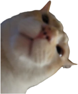 fenbert emote
