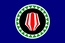 Flag_bi emote