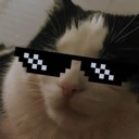 CoolCat emote