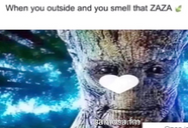 ZAZA static emote