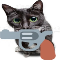 guncat emote