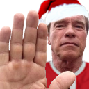 arnoldHalt static emote