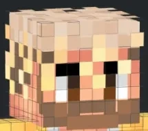 MinecraftSkin emote