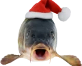 ChristmasFish emoji