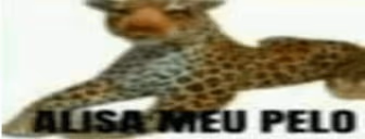 alisameupelo emote