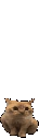 boingus emote