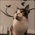 CE_EatFinger emote