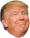 TrumpHappy emote