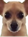 awkstare emote
